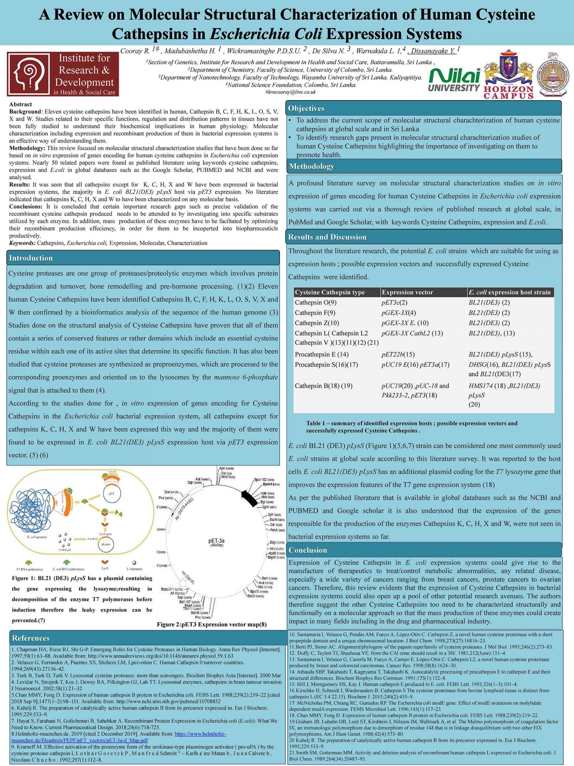 A Review on Molecular Structural Characterization of Human Cysteine Cathepsins in Escherichia Coli Expression Systems