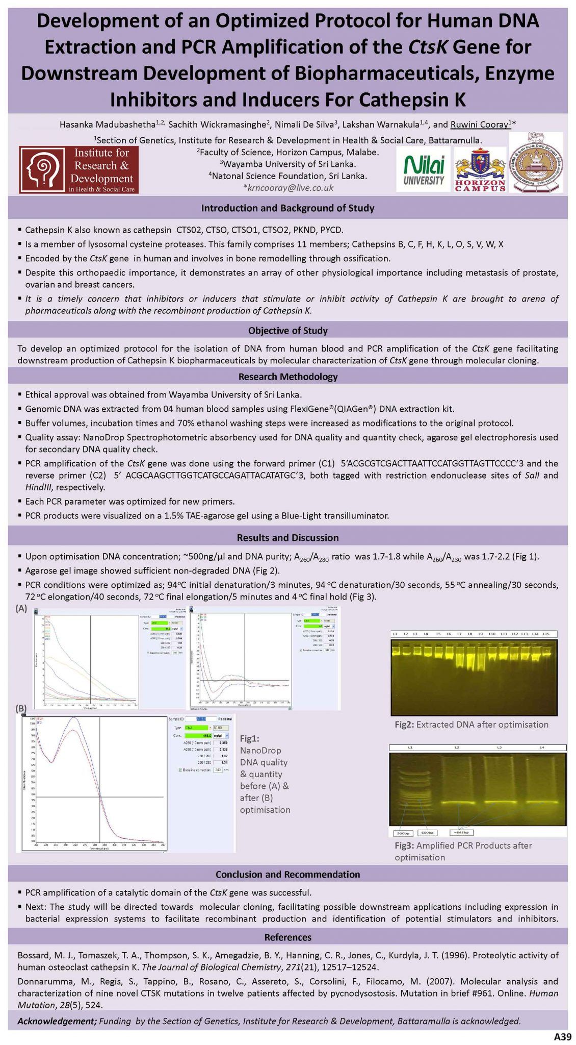 Development of an Optimized Protocol for Human DNA Extraction and PCR Amplification of the CtsK Gene for Downstream Development of Biopharmaceuticals, Enzyme Inhibitors and Inducers For Cathepsin K