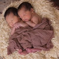 New International Research Partnership to Develop Large Twin Registry